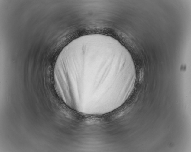 X0000089941059200707271813