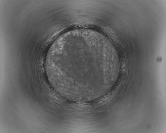 X0000089941060200707271813