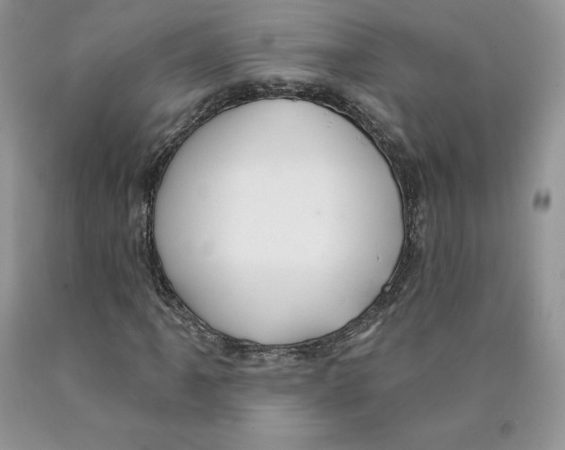 X0000089941061200707271813