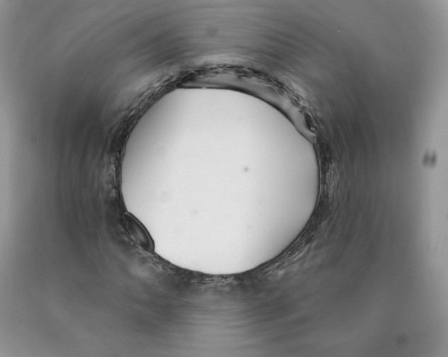 X0000089941062200707271813