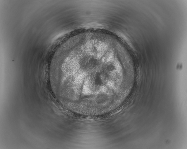 X0000089941063200707271813
