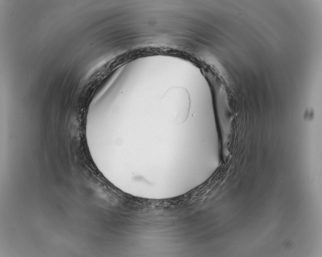 X0000089941064200707271813