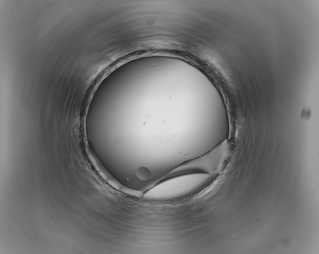 X0000089941065200707271813