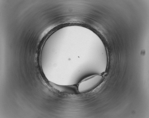 X0000089941066200707271813