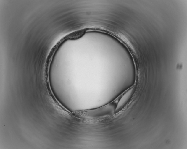 X0000089941068200707271813