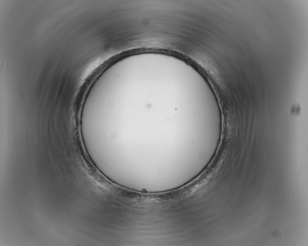 X0000089941070200707271813