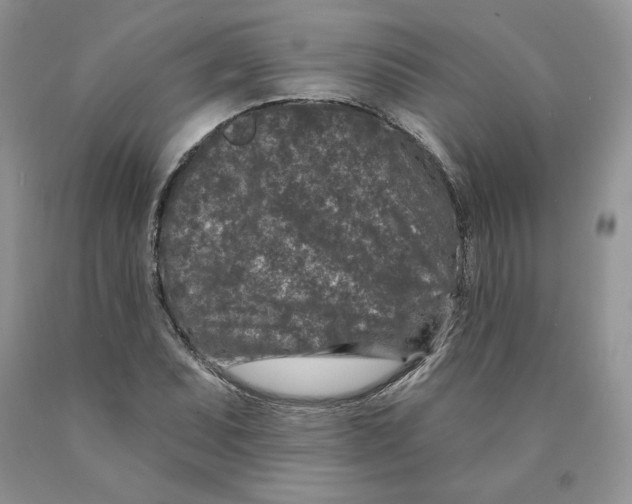 X0000089941071200707271813