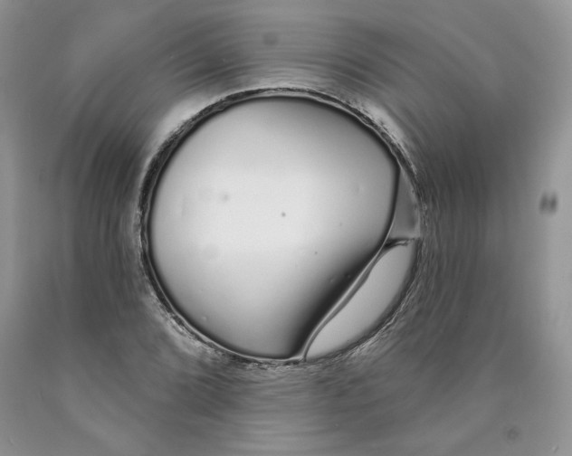 X0000089941072200707271813