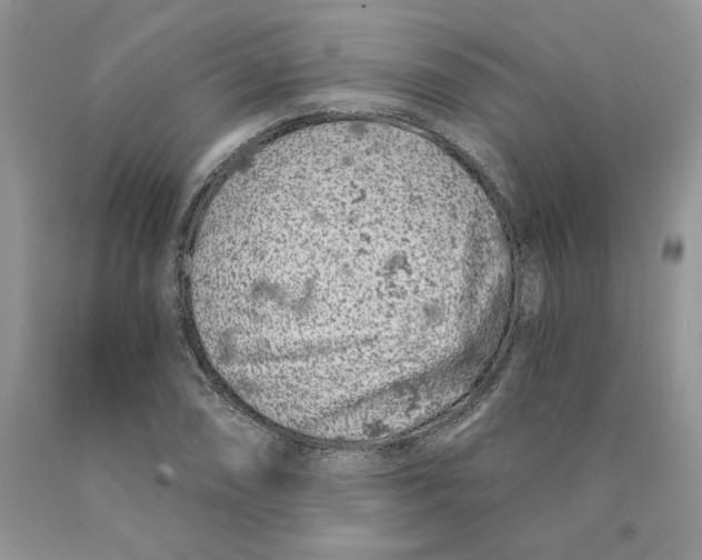 X0000089941074200707271813