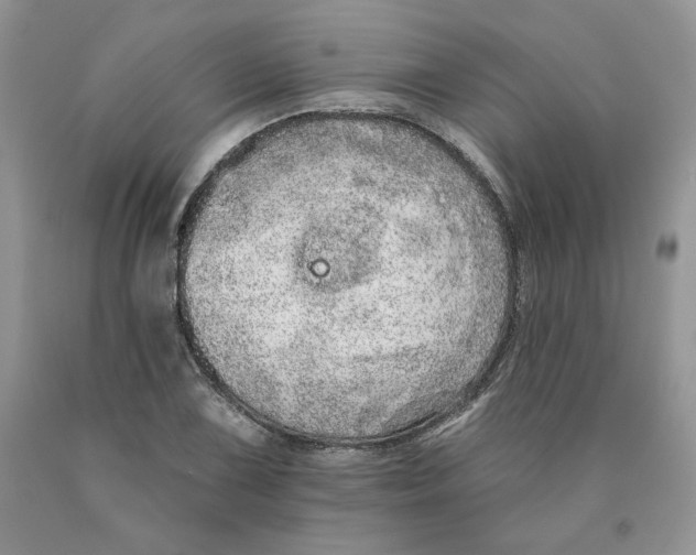 X0000089941075200707271813