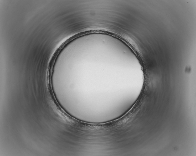 X0000089941076200707271813