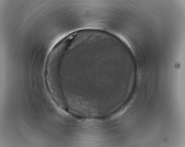 X0000089941077200707271813