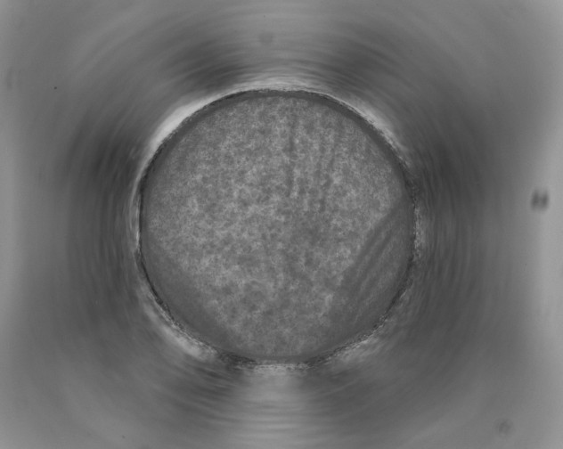 X0000089941078200707271813
