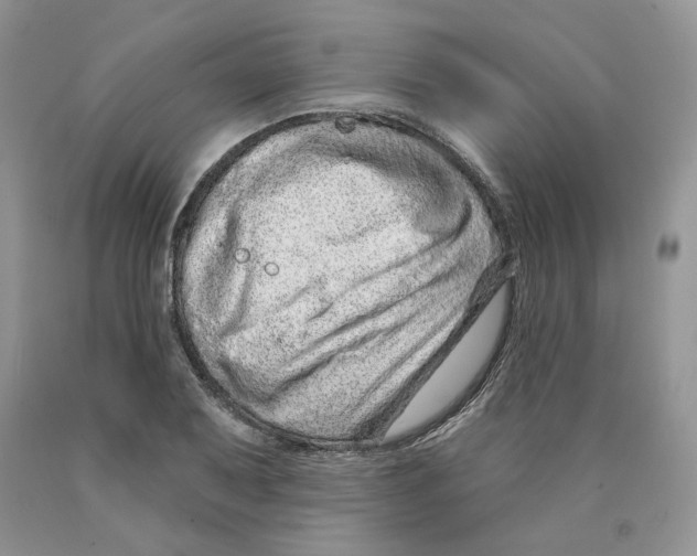X0000089941079200707271813
