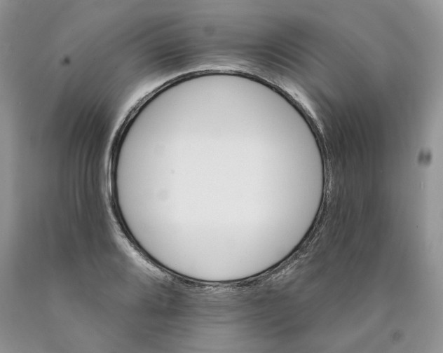 X0000089941080200707271813