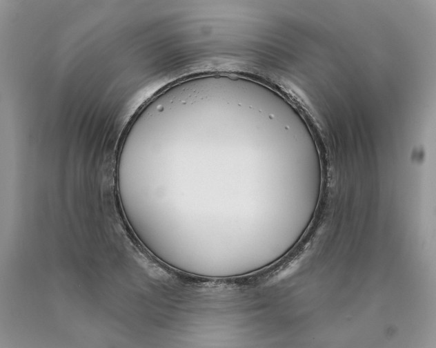 X0000089941081200707271813