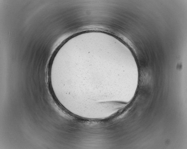 X0000089941082200707271813