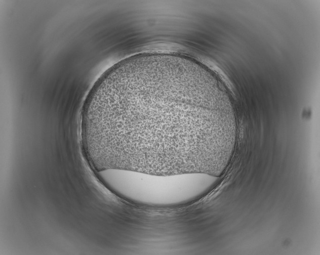 X0000089941083200707271813