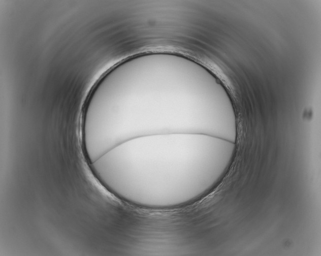 X0000089941084200707271813