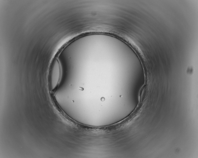 X0000089941085200707271813