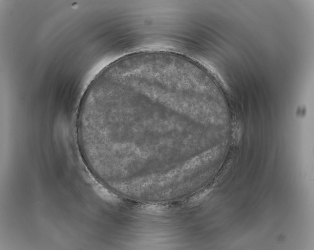 X0000089941086200707271813