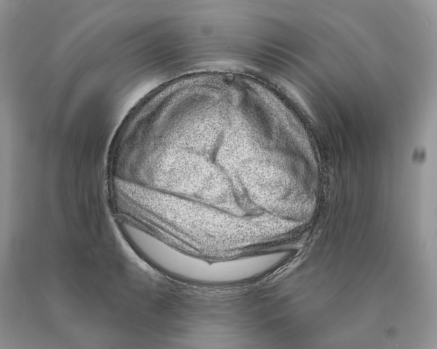 X0000089941087200707271813