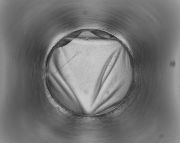 X0000089941088200707271813