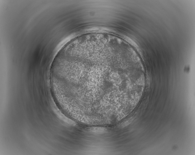 X0000089941090200707271813