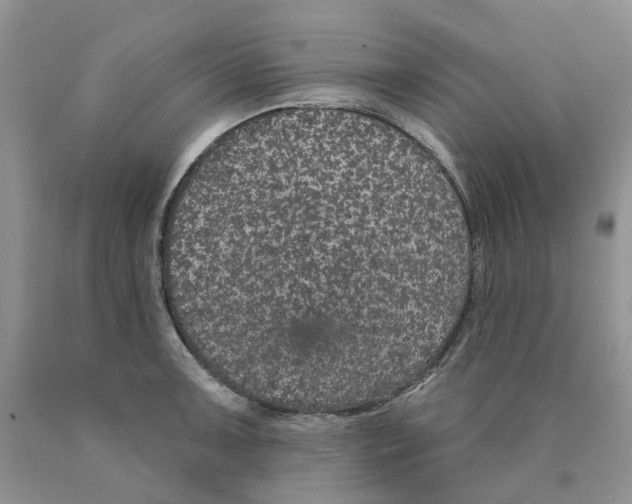 X0000089941091200707271813