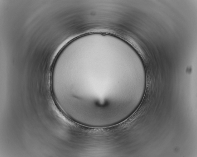 X0000089941092200707271813