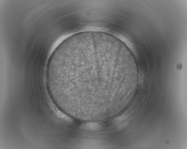 X0000089941094200707271813