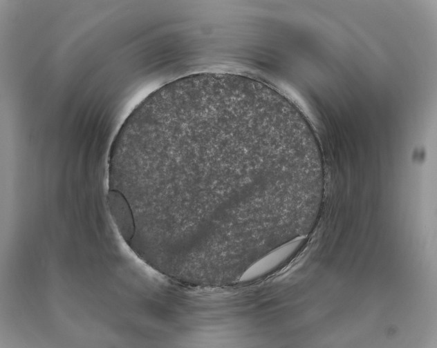 X0000089941095200707271813