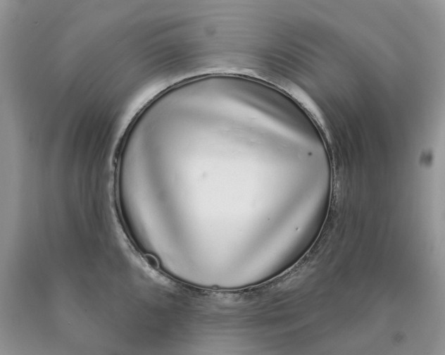 X0000089941096200707271813