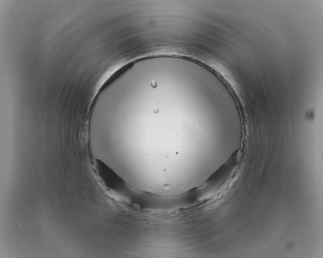 X0000089941097200707271813