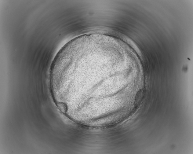 X0000089941099200707271813