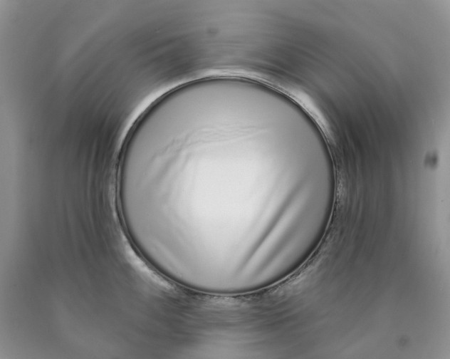 X0000089941100200707271813
