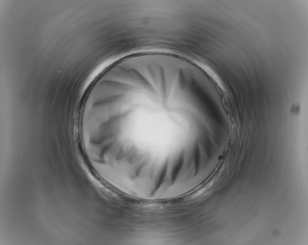 X0000089941101200707271813