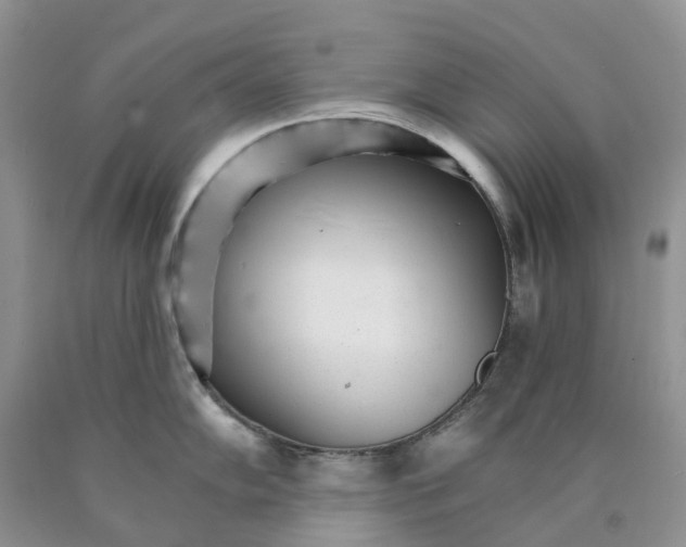X0000089941102200707271813