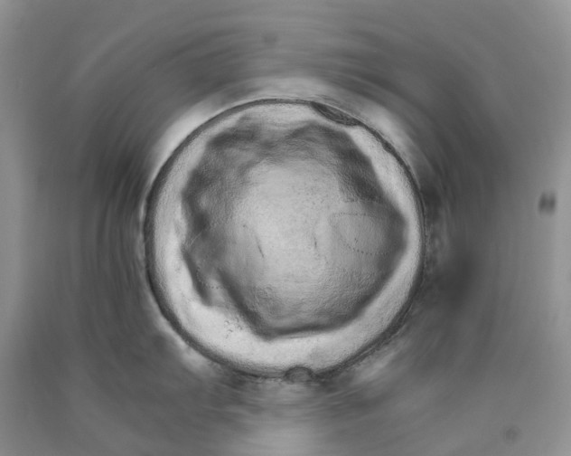 X0000089941103200707271813