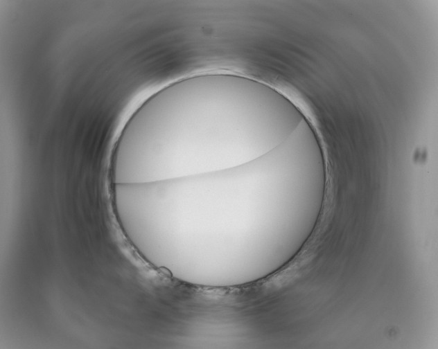 X0000089941104200707271813