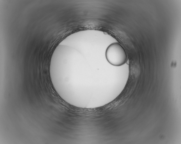 X0000089941106200707271812