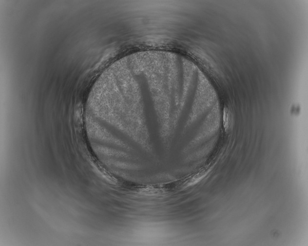 X0000089941107200707271812