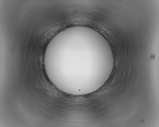 X0000089941108200707271812