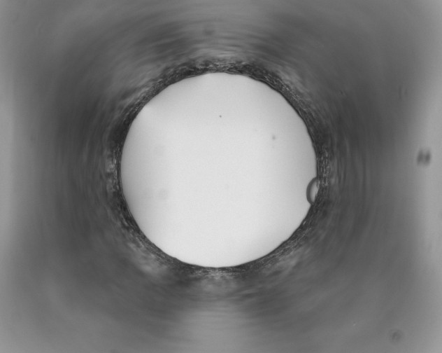 X0000089941109200707271812