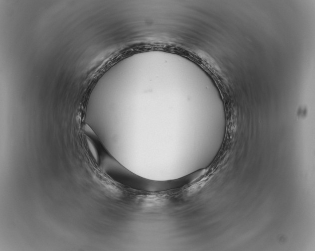 X0000089941110200707271812