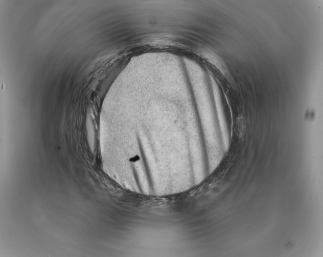 X0000089941111200707271812