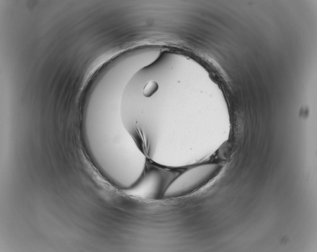 X0000089941114200707271812