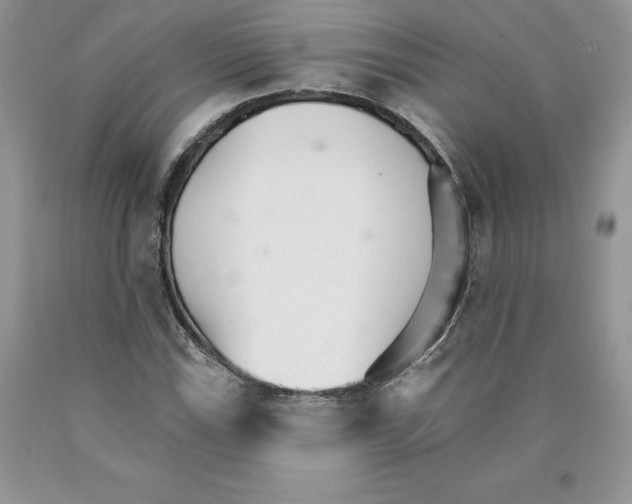 X0000089941115200707271812