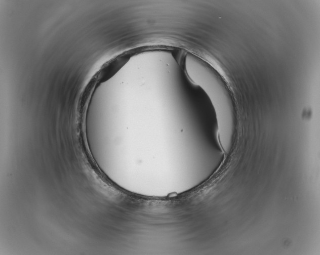 X0000089941116200707271812