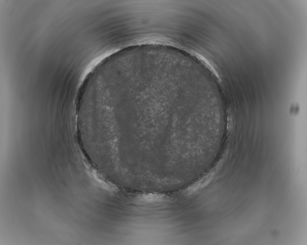 X0000089941117200707271812